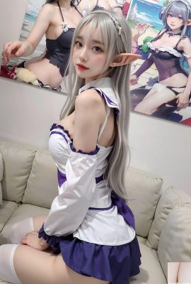 নং 458 এমিলিয়া Cosplay