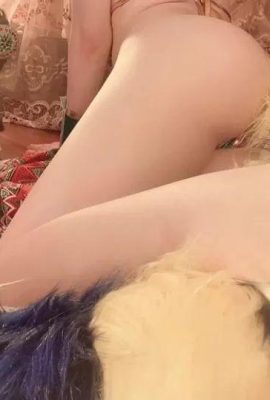 কিজি লাম্প উইল-ডাস্টি (56 পি)