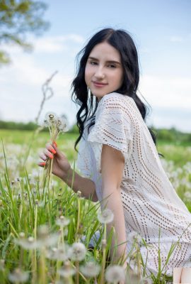 সাশা জেন – ড্যান্ডেলিয়নস (105 পি)