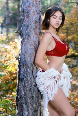 ডিজিলি – প্রকৃতির শিখর (113 পি)