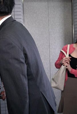 মিয়ানিশি হিকারু: শ্যালক? (《 ড্যান ইয়েও ইউ  পার্ক হুই  পাং  আমি x ভাই… (21 পি)