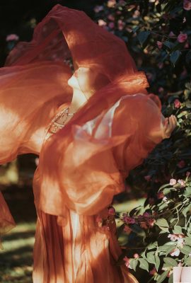 ওয়ানফুশেং দুই কিলোগ্রাম স্টিমড বান ~ (20P)