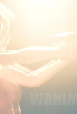 (ওয়াং ডং এর কাজ) ওয়ানিমাল টাম্বলার ছবির সংগ্রহ (107) (50P)