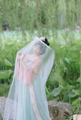 লোটাস রাইম ট্যাং ফেংজি জিয়াওক্সুন (28P)