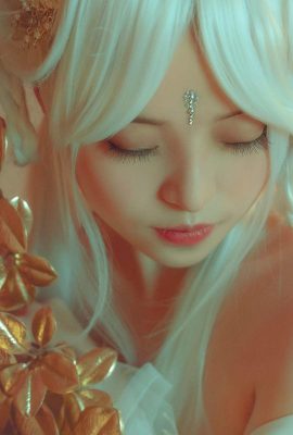 কুরুমিনেকো দ্য আখরোট বিড়াল – ম্যাজিক প্যারাডাইস (30P)